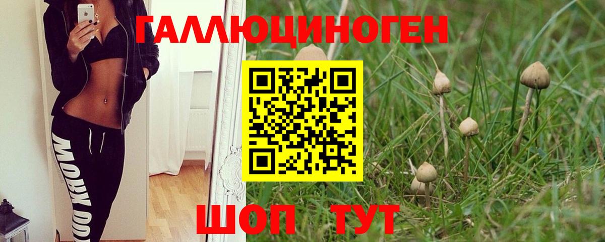 Галлюциногенные грибы мицелий Берёзовский